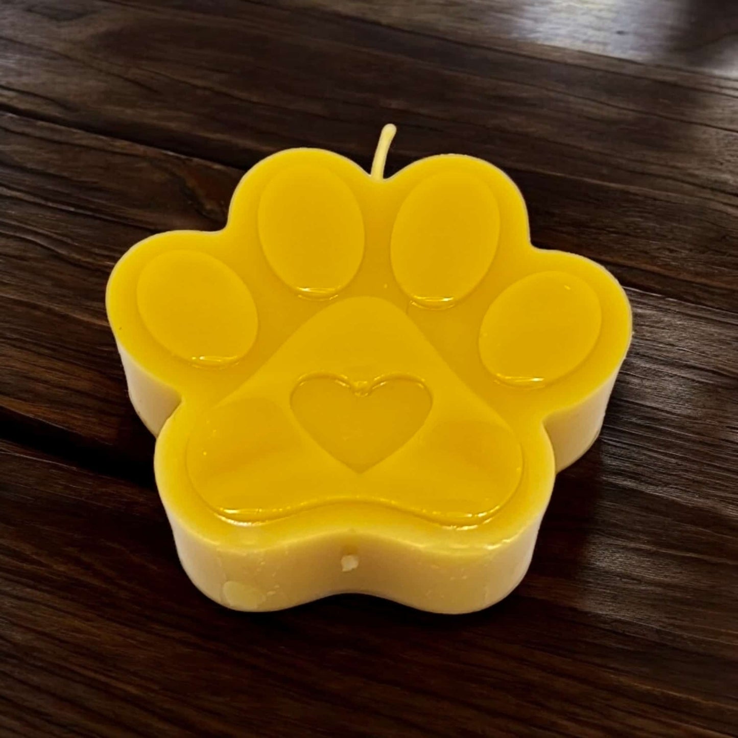 dicke Hundepfote Katzenpfote Kerze