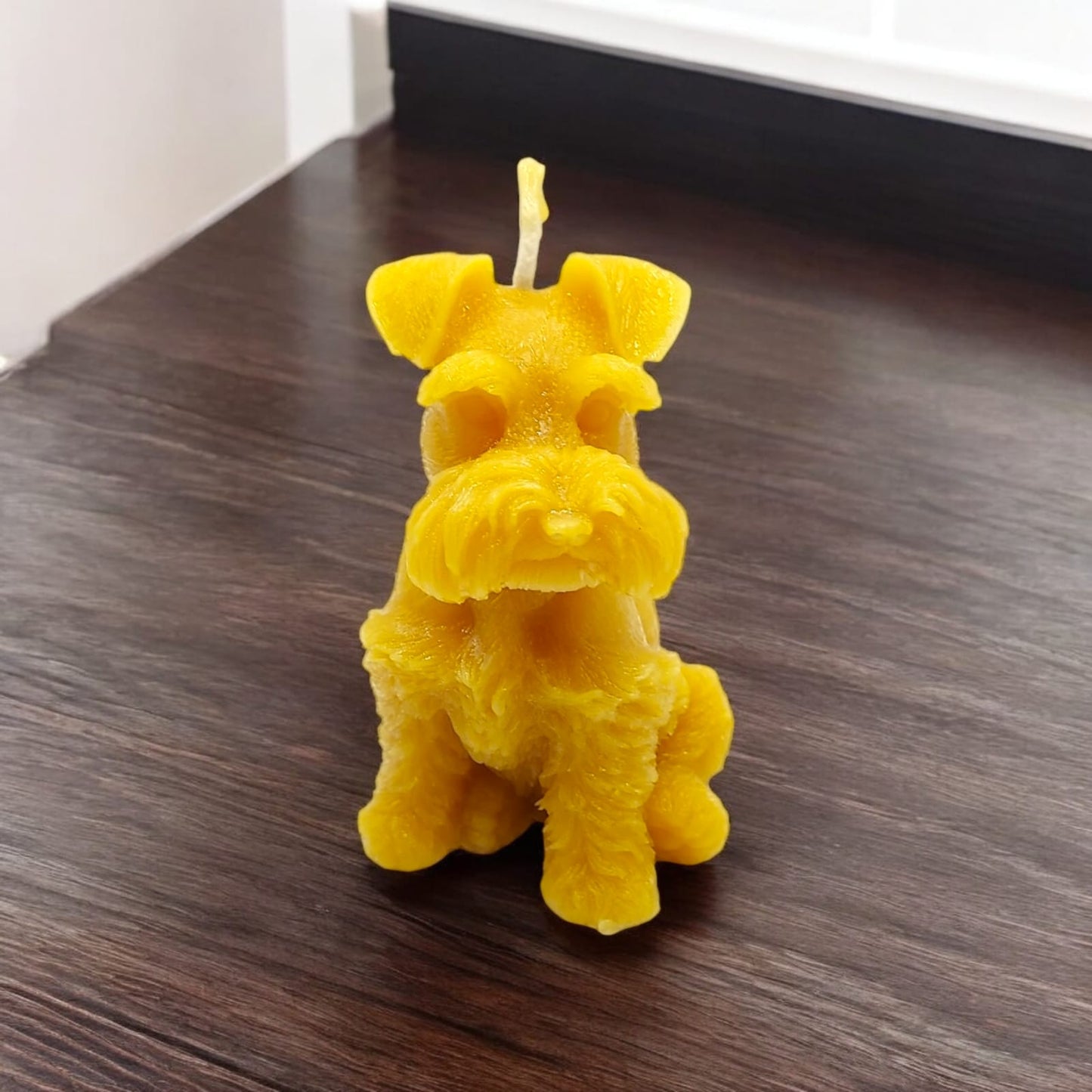 Hund Terri Terrier