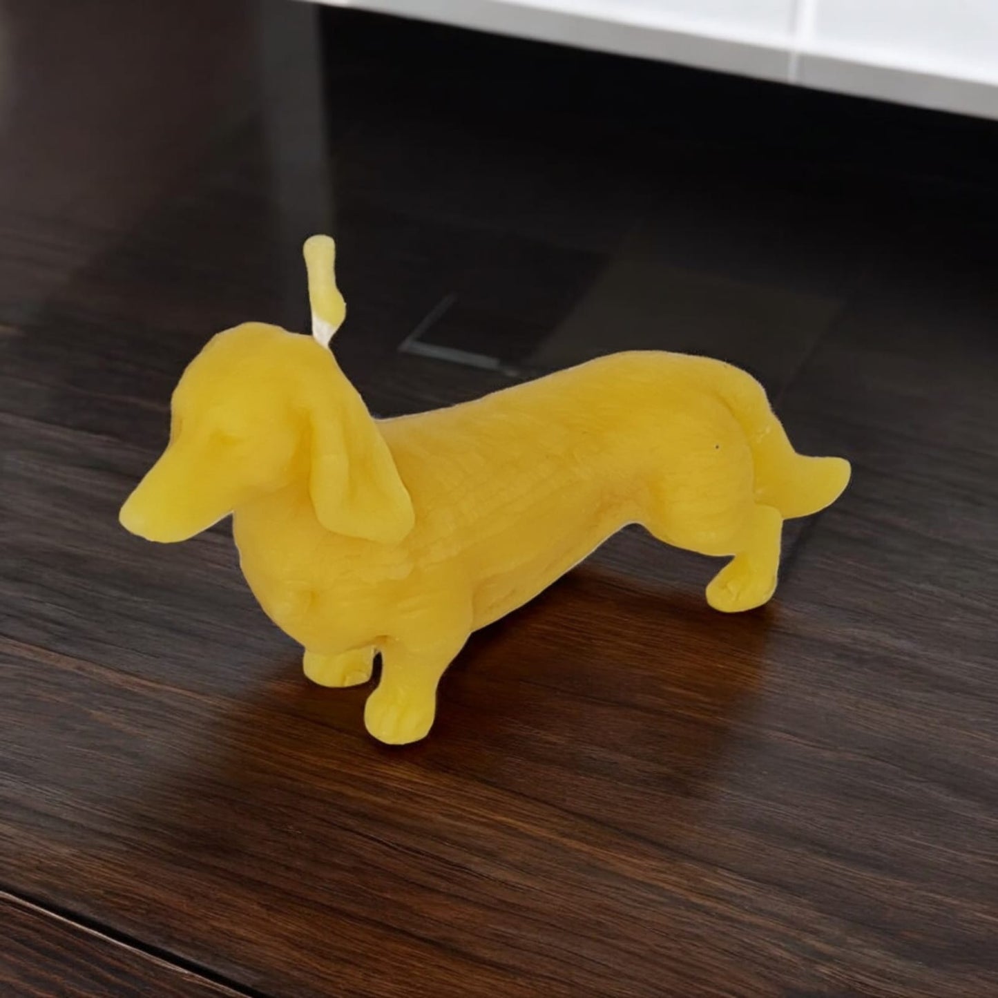 Hund Dackel Esko