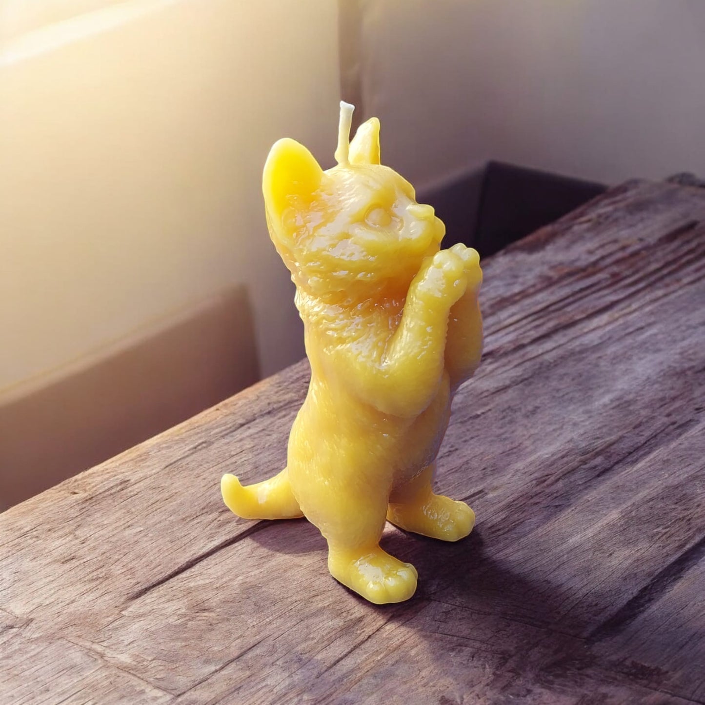 Katze Rusty