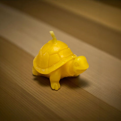 süße kleine Schildkröte Schildi