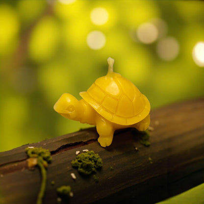 süße kleine Schildkröte Schildi