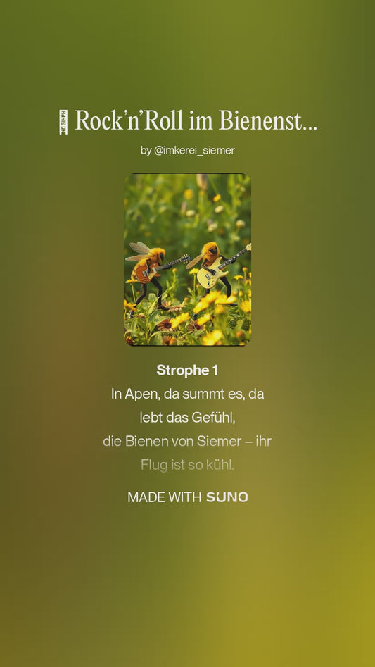 Rock’n’Roll im Bienenstock